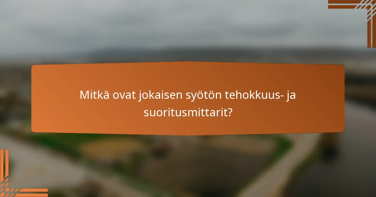 Mitkä ovat jokaisen syötön tehokkuus- ja suoritusmittarit?